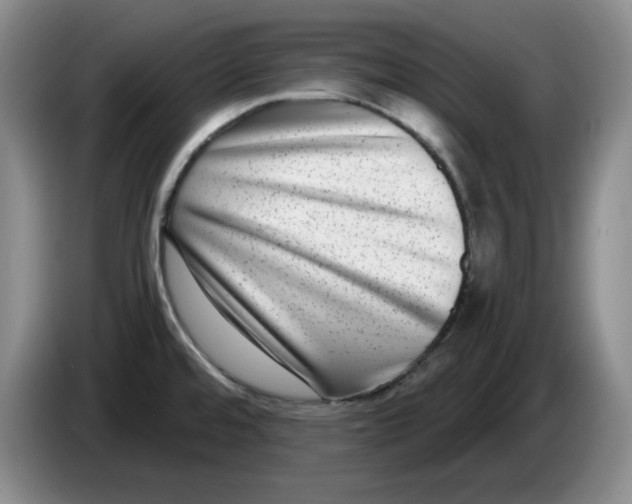 X0000084041480200703092021