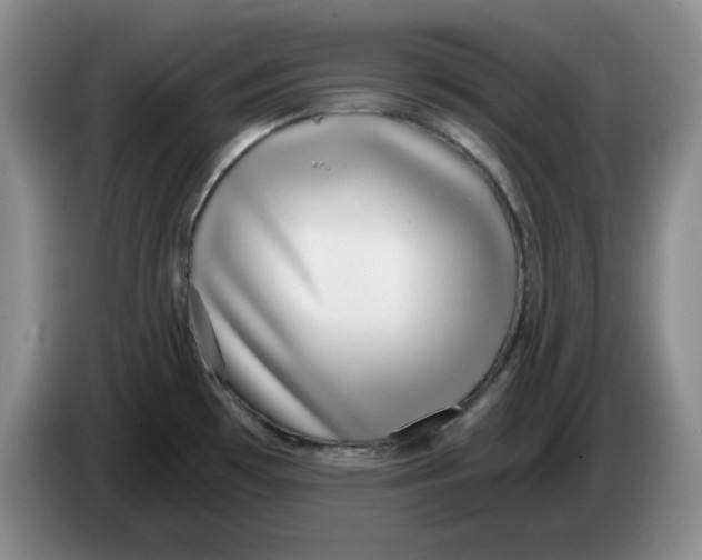 X0000084041481200703092021