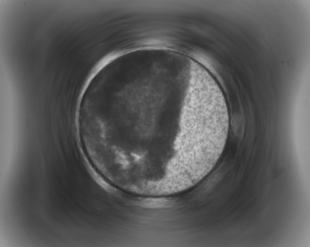 X0000084041482200703092021