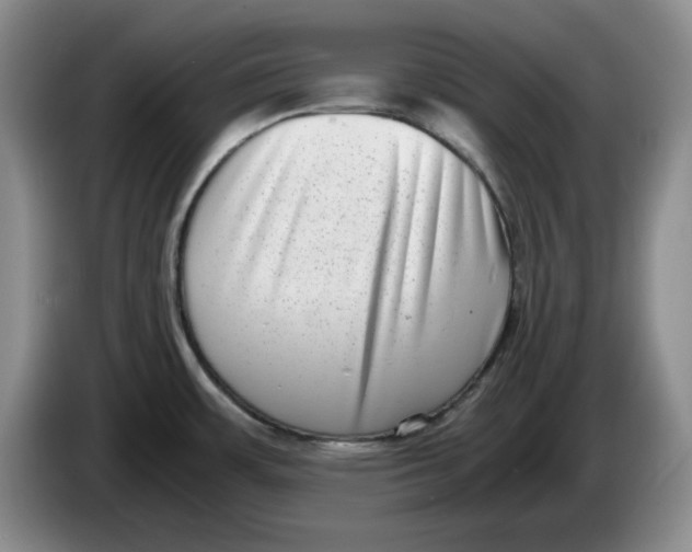 X0000084041483200703092021