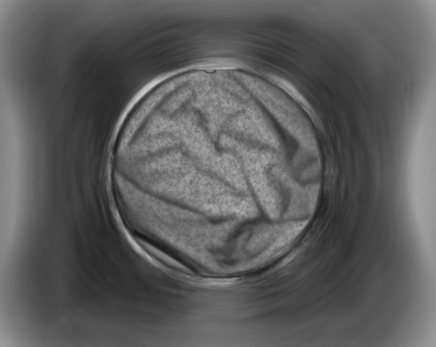 X0000084041484200703092021