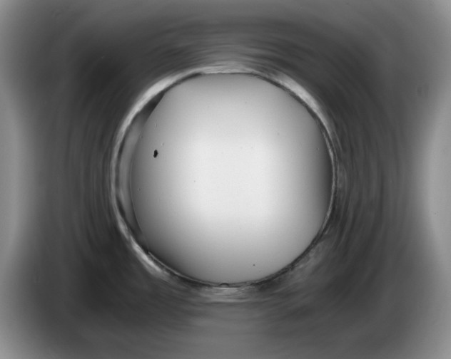 X0000084041485200703092021