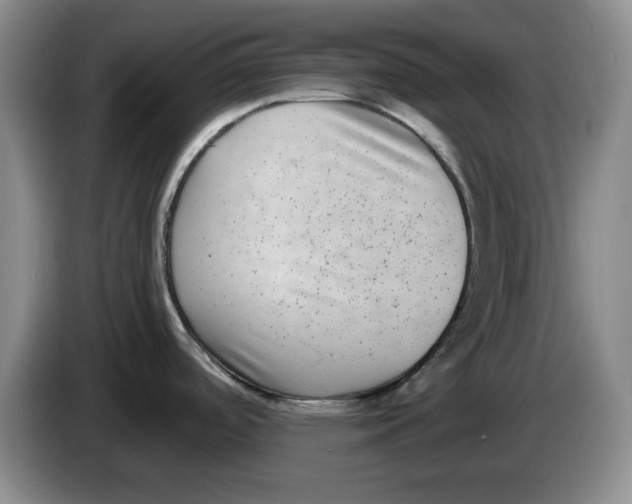 X0000084041488200703092021