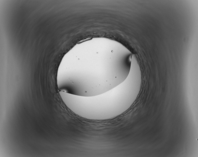 X0000084041489200703092020