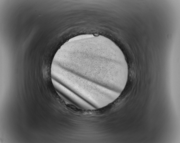 X0000084041490200703092020