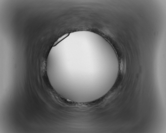 X0000084041492200703092020