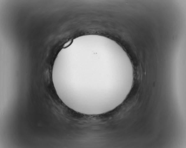 X0000084041493200703092020