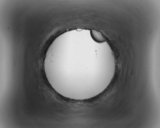 X0000084041495200703092020