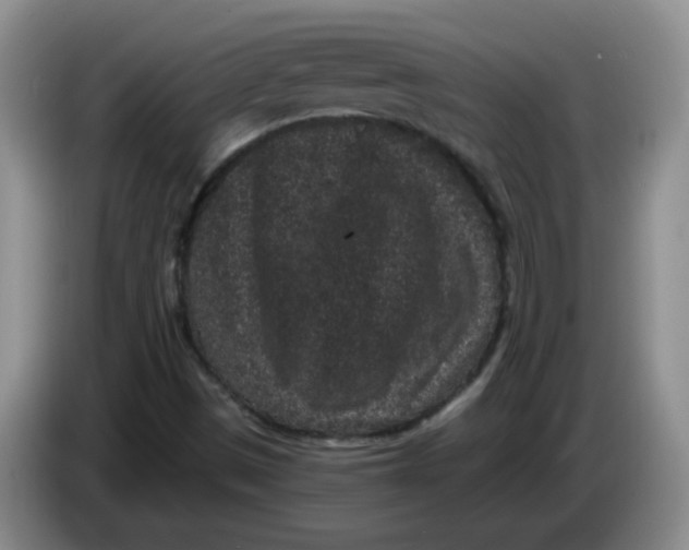 X0000084041497200703092020