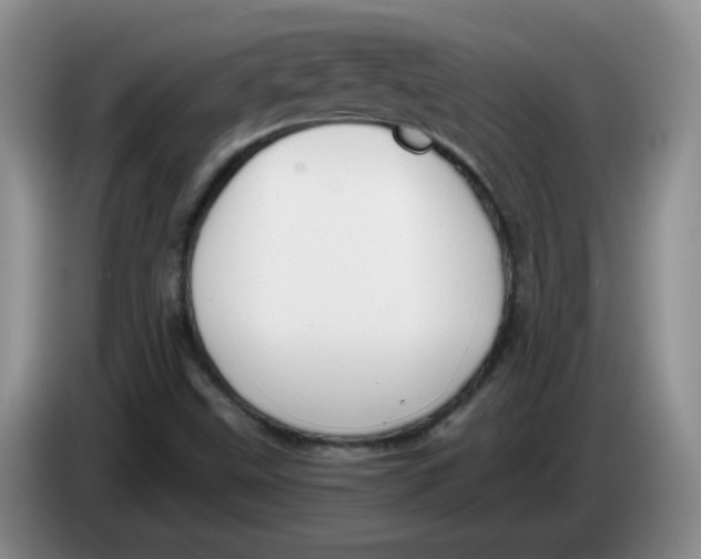 X0000084041499200703092020