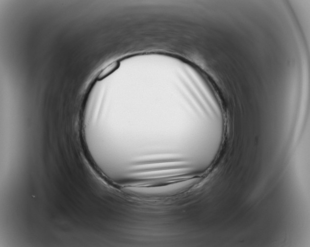 X0000084041500200703092020