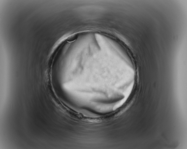 X0000084041501200703092020