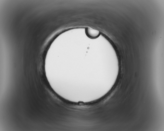 X0000084041502200703092020