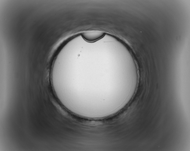 X0000084041503200703092020