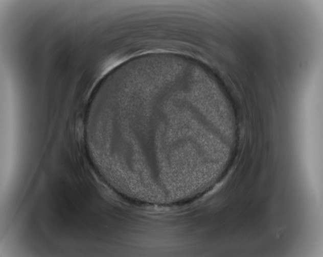 X0000084041505200703092020