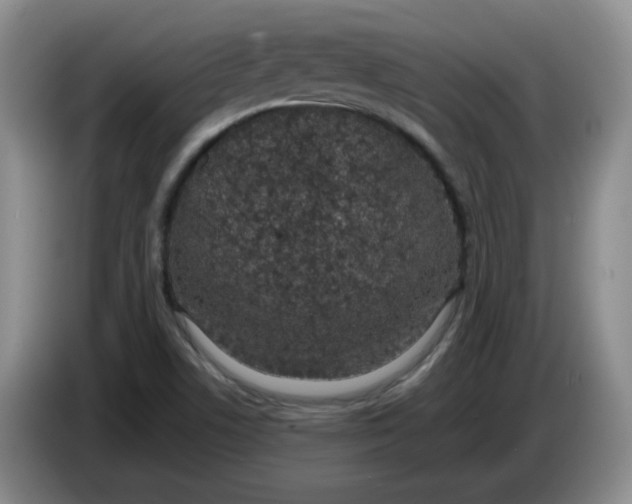 X0000084041506200703092020