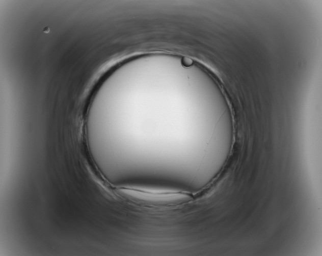 X0000084041507200703092020