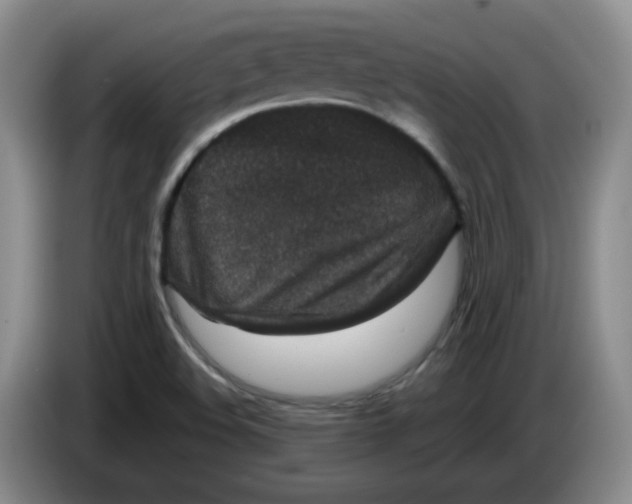 X0000084041508200703092020