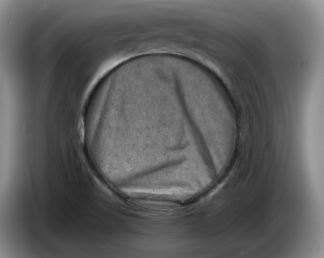 X0000084041509200703092020