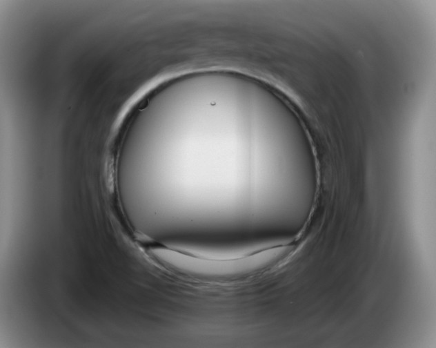 X0000084041510200703092020