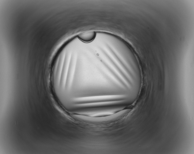 X0000084041511200703092020