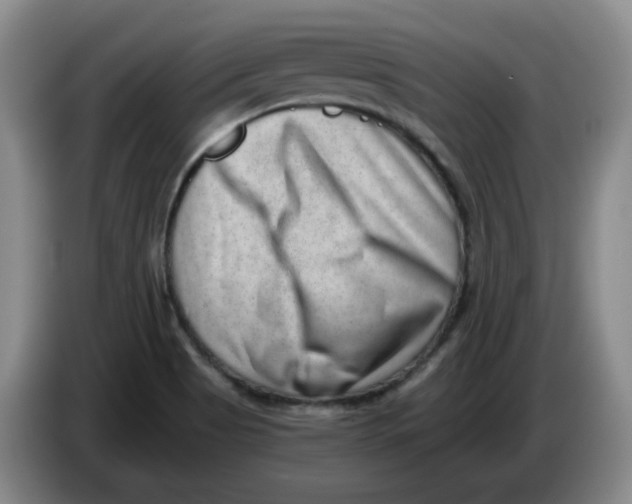 X0000084041513200703092020