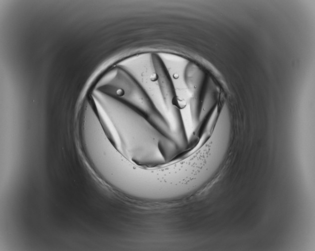 X0000084041514200703092020