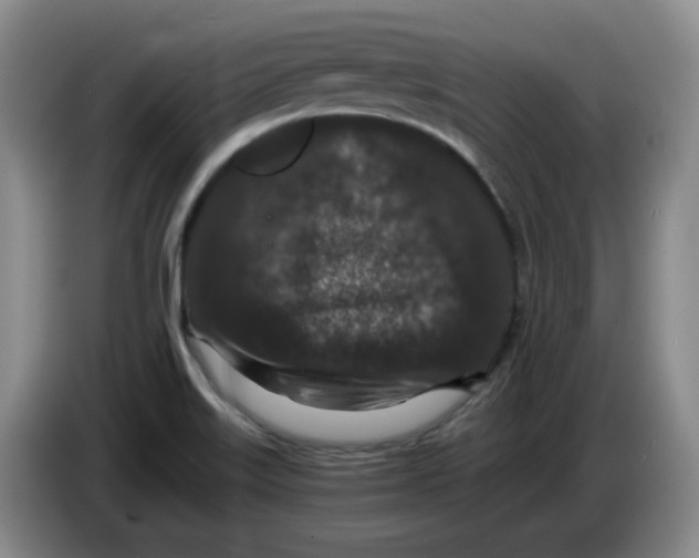 X0000084041515200703092020