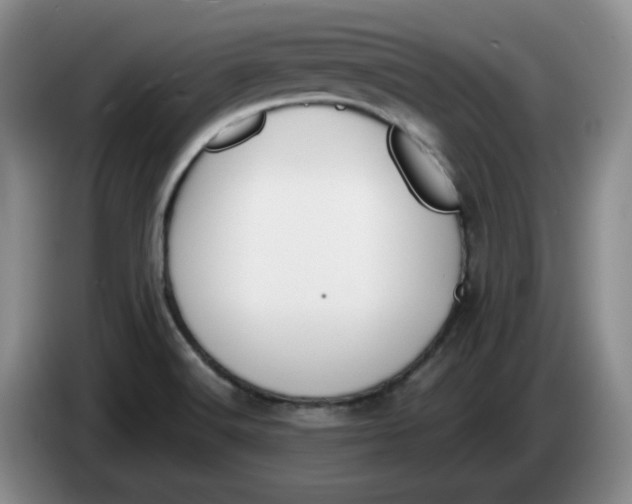 X0000084041516200703092020