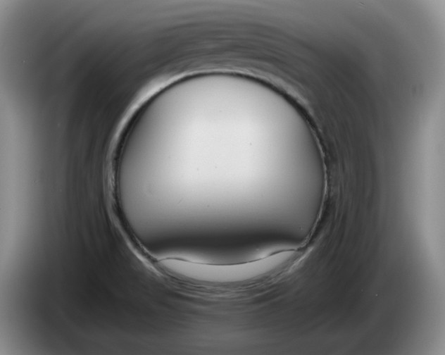 X0000084041517200703092020