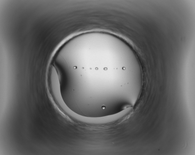 X0000084041518200703092020