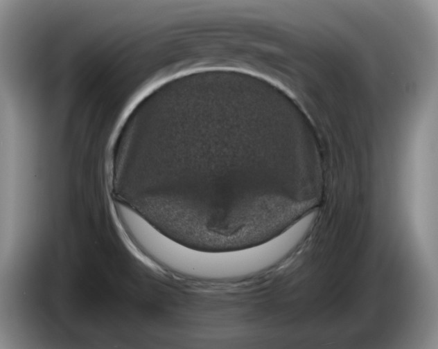 X0000084041519200703092020