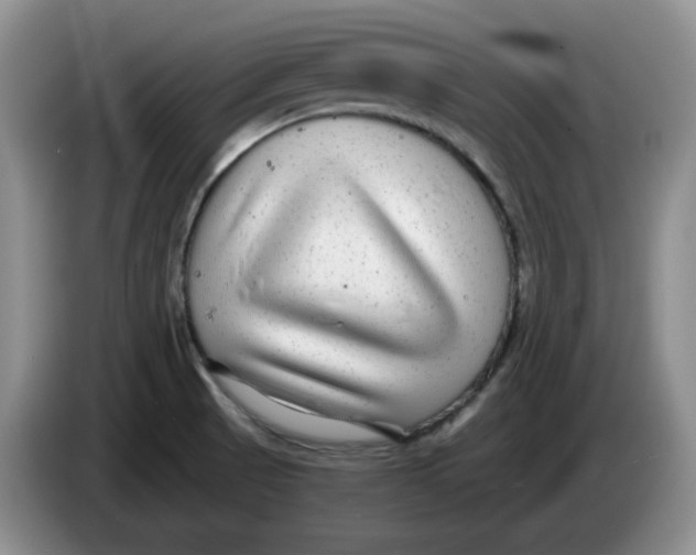 X0000084041521200703092020