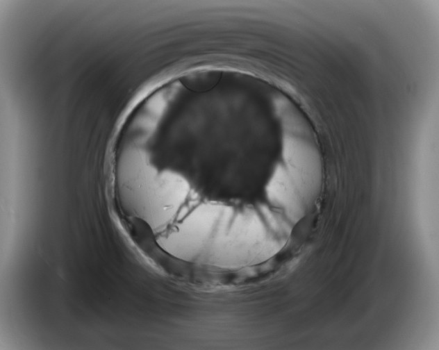 X0000084041522200703092020