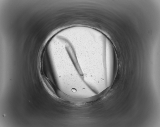 X0000084041523200703092020