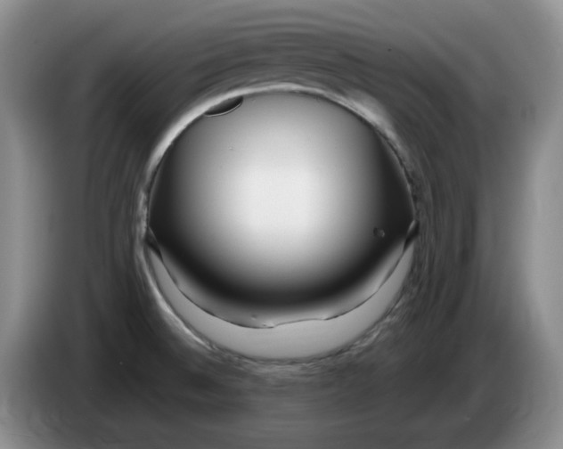 X0000084041524200703092020