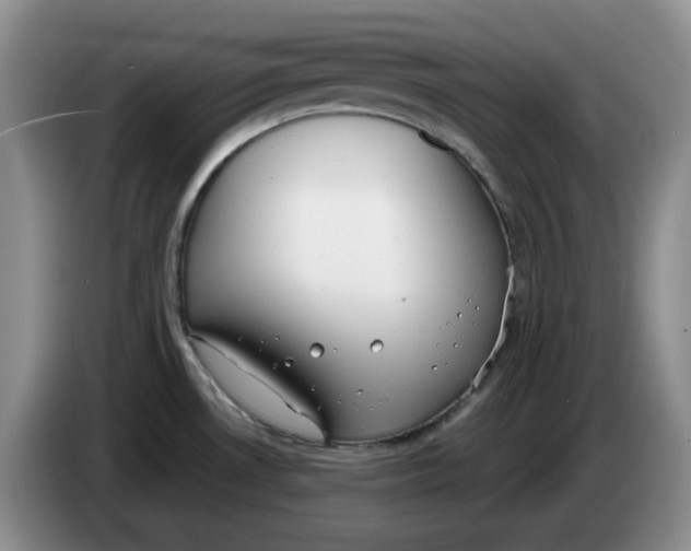 X0000084041530200703092020