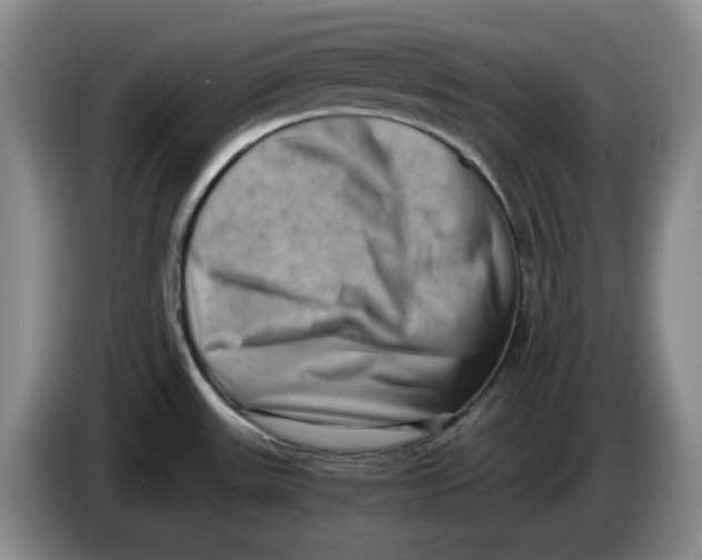 X0000084041531200703092020