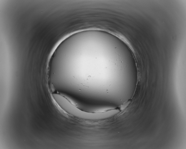 X0000084041532200703092020