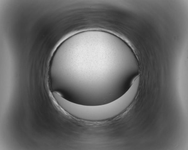 X0000084041534200703092020