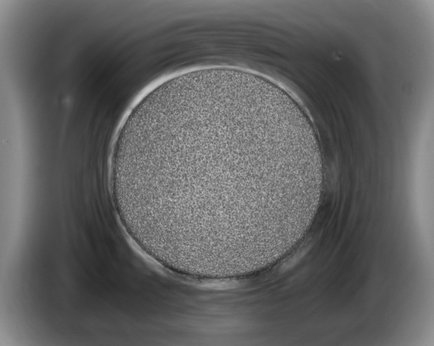 X0000084041535200703092020