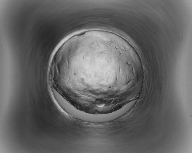 X0000084041536200703092020