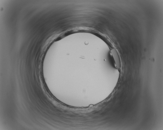 X0000084040001200703161843