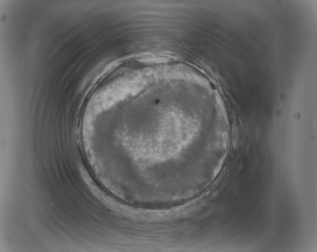 X0000084040002200703161843