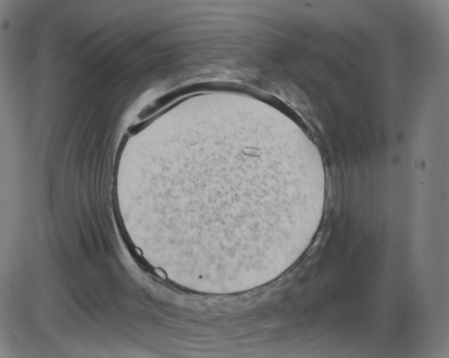 X0000084040003200703161843