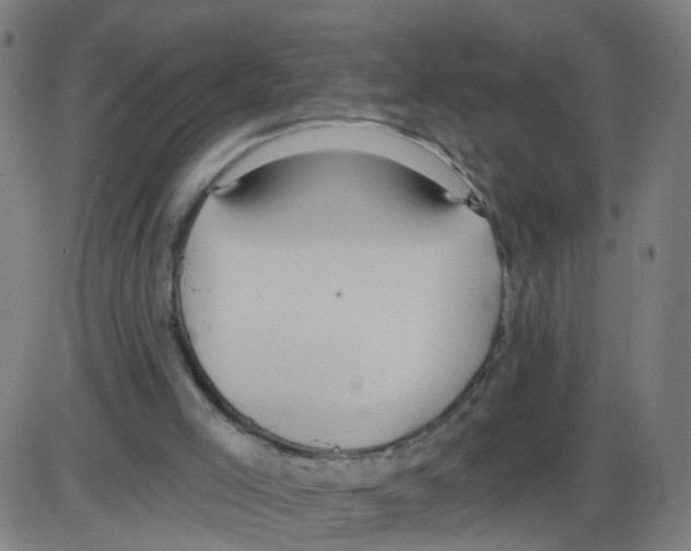 X0000084040005200703161843