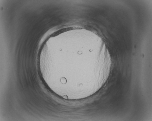 X0000084040006200703161843