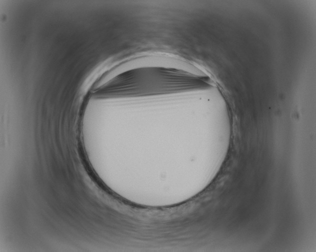 X0000084040007200703161843