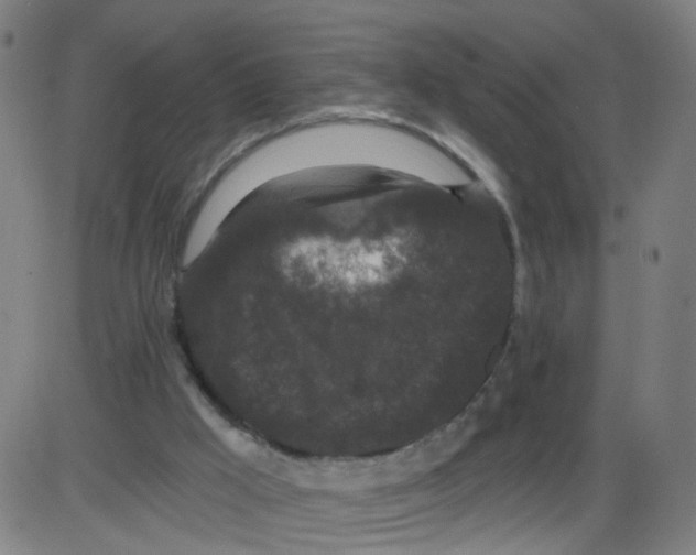 X0000084040009200703161843