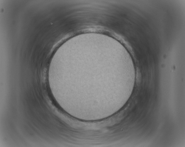 X0000084040010200703161843